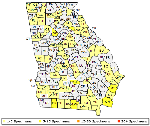 The range of Morus rubra